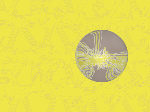 Master of Arts in Responsible Fashion Design - IED Milano