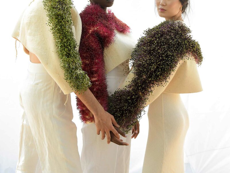Fashion Management