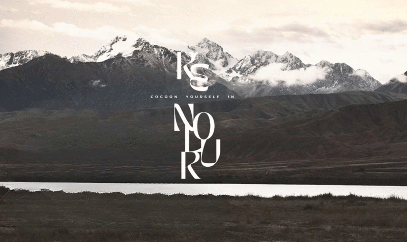Background image of the Mongolian mountains with the Re'Nolur logo superimposed