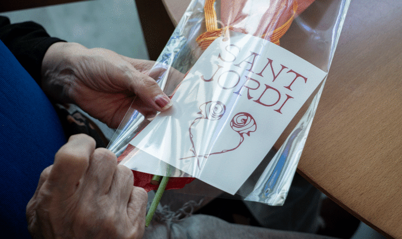 Close-up of an elderly person's hands receiving a Sant Jordi Rose with a greeting designed by students from IED Barcelona.