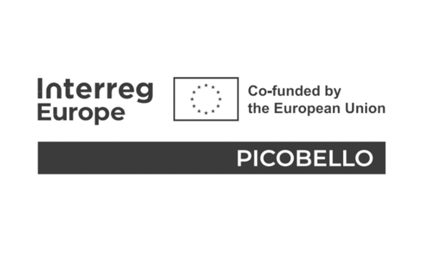 Picobello project logo